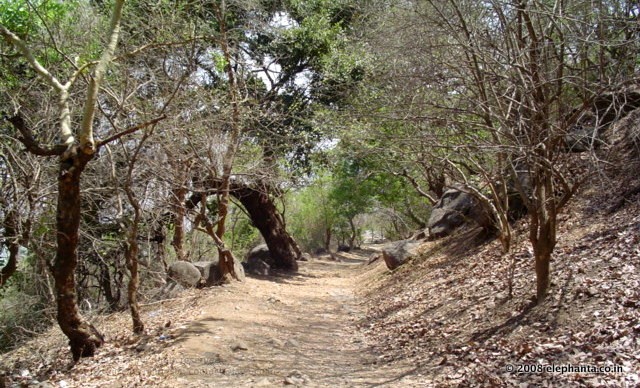 Trail to Cannon Hill in Elephanta Island